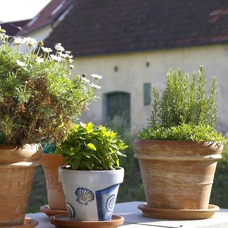 Ferienwohnung Sachsenberg Keine Monteure Hadersdorf am Kamp Buitenkant foto