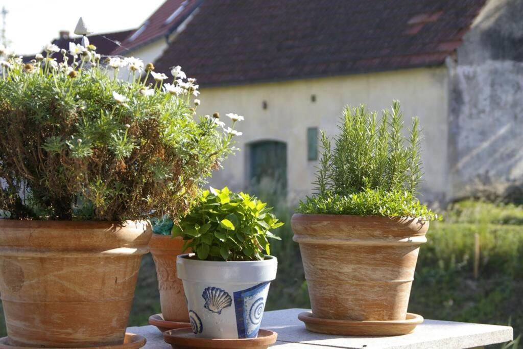 Ferienwohnung Sachsenberg Keine Monteure Hadersdorf am Kamp Buitenkant foto